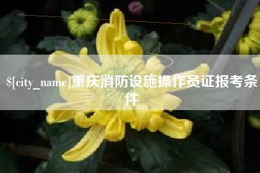 潍坊重庆消防设施操作员证报考条件