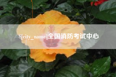 潍坊全国消防考试中心