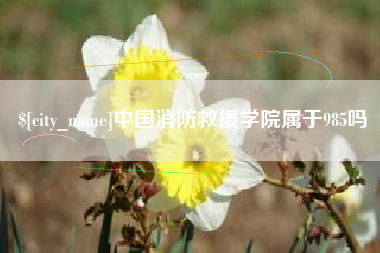 潍坊中国消防救援学院属于985吗