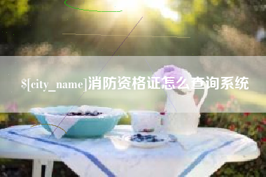 潍坊消防资格证怎么查询系统