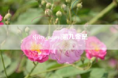 潍坊第九金是