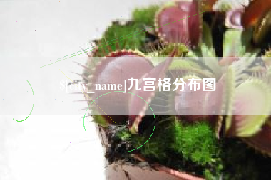 潍坊九宫格分布图