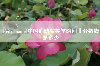 潍坊中国消防救援学院河北分数线是多少