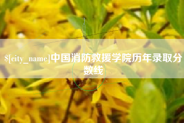 潍坊中国消防救援学院历年录取分数线