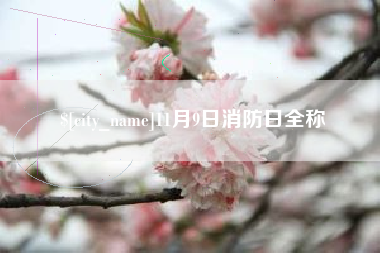 潍坊11月9日消防日全称