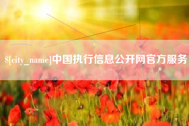 潍坊中国执行信息公开网官方服务