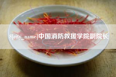 潍坊中国消防救援学院副院长