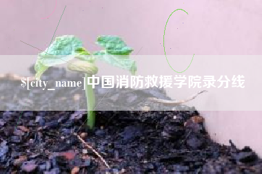 潍坊中国消防救援学院录分线