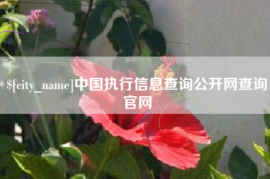 潍坊中国执行信息查询公开网查询官网