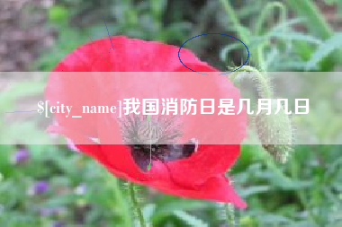 潍坊我国消防日是几月几日