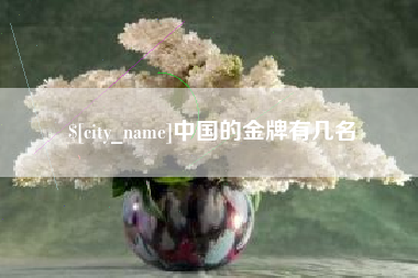 潍坊中国的金牌有几名