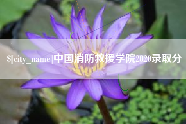 潍坊中国消防救援学院2020录取分