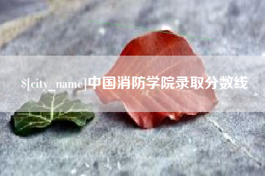 潍坊中国消防学院录取分数线