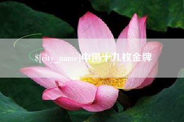 潍坊中国十九枚金牌