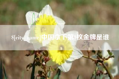 潍坊中国拿下第9枚金牌是谁