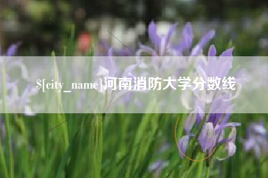 潍坊河南消防大学分数线