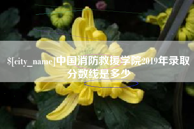 潍坊中国消防救援学院2019年录取分数线是多少
