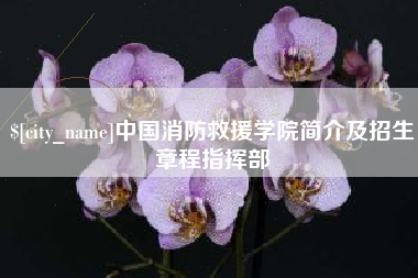 潍坊中国消防救援学院简介及招生章程指挥部