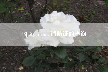 潍坊消防证的查询