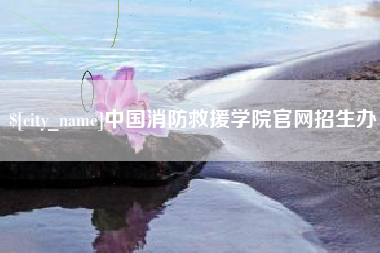 潍坊中国消防救援学院官网招生办