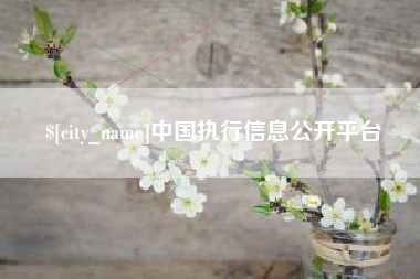 潍坊中国执行信息公开平台