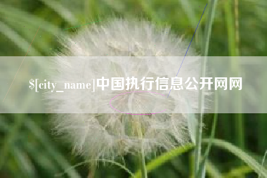 潍坊中国执行信息公开网网