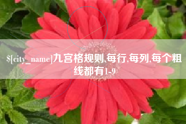潍坊九宫格规则,每行,每列,每个粗线都有1-9
