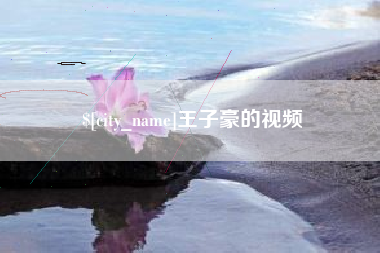 潍坊王子豪的视频