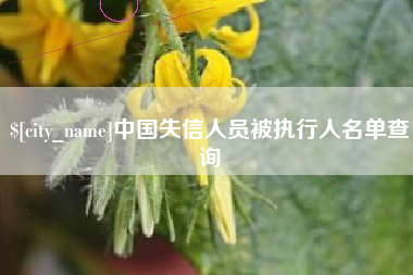 潍坊中国失信人员被执行人名单查询