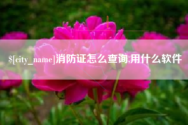 潍坊消防证怎么查询,用什么软件