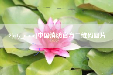 潍坊中国消防官方二维码图片