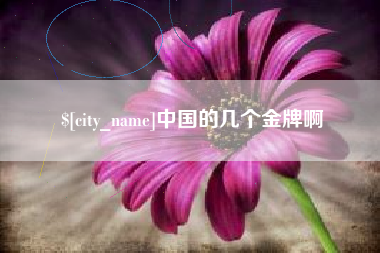潍坊中国的几个金牌啊