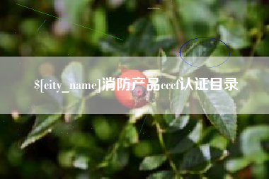 潍坊消防产品cccf认证目录