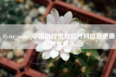 潍坊中国执行信息公开网信息更新时间是多久