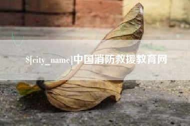 潍坊中国消防救援教育网
