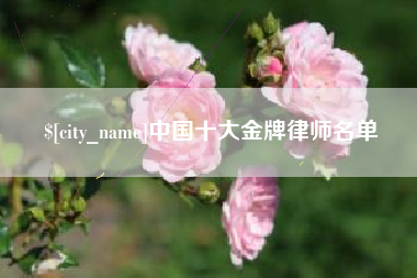 潍坊中国十大金牌律师名单