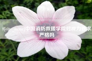 潍坊中国消防救援学院对视力要求严格吗