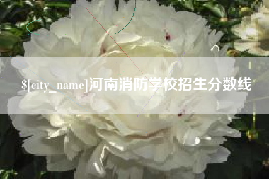 潍坊河南消防学校招生分数线
