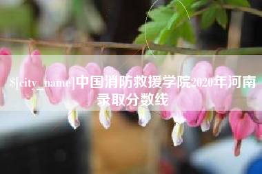 潍坊中国消防救援学院2020年河南录取分数线