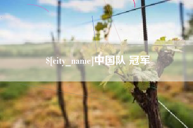 潍坊中国队 冠军