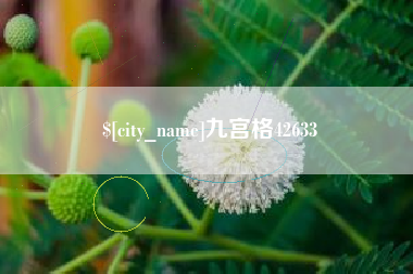 潍坊九宫格42633