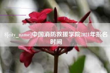 潍坊中国消防救援学院2021年报名时间