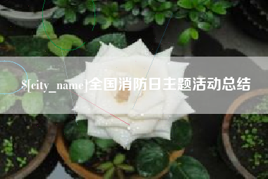 潍坊全国消防日主题活动总结