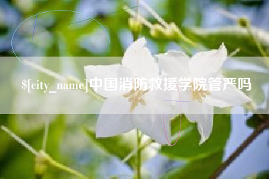 潍坊中国消防救援学院管严吗
