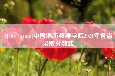 潍坊中国消防救援学院2021年各省录取分数线