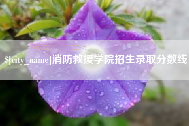 潍坊消防救援学院招生录取分数线