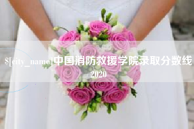 潍坊中国消防救援学院录取分数线2020