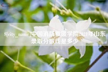 潍坊中国消防救援学院2021年山东录取分数线是多少
