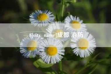 潍坊成都 消防