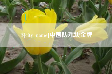 潍坊中国队九块金牌